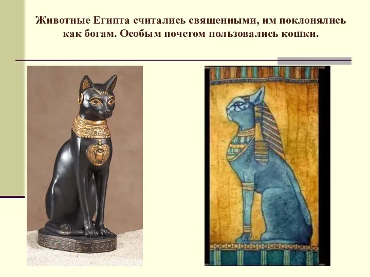 Животные Египта считались священными, им поклонялись как богам. Особым почетом пользовались кошки.