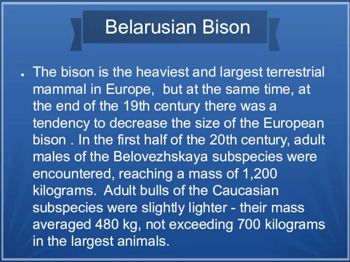 Belarusian Bison The bison is the heaviest and largest terrestrial