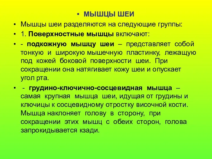 МЫШЦЫ ШЕИ Мышцы шеи разделяются на следующие группы: 1. Поверхностные