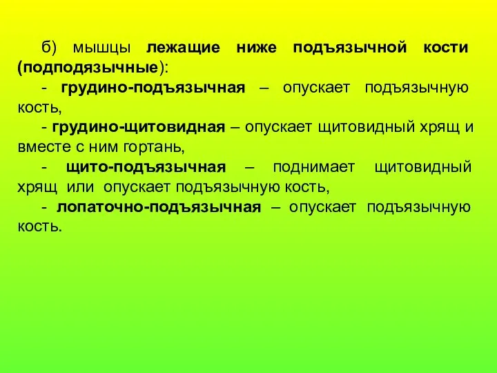 б) мышцы лежащие ниже подъязычной кости (подподязычные): - грудино-подъязычная –