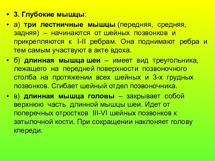 3. Глубокие мышцы: а) три лестничные мышцы (передняя, средняя, задняя)