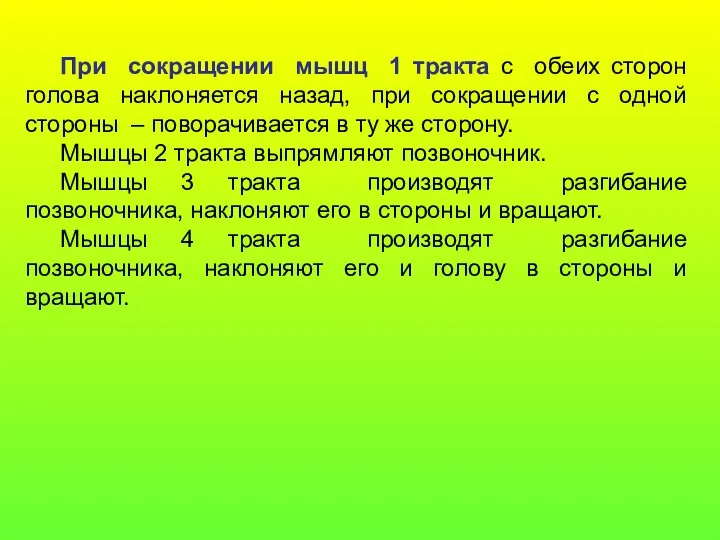 При сокращении мышц 1 тракта с обеих сторон голова наклоняется