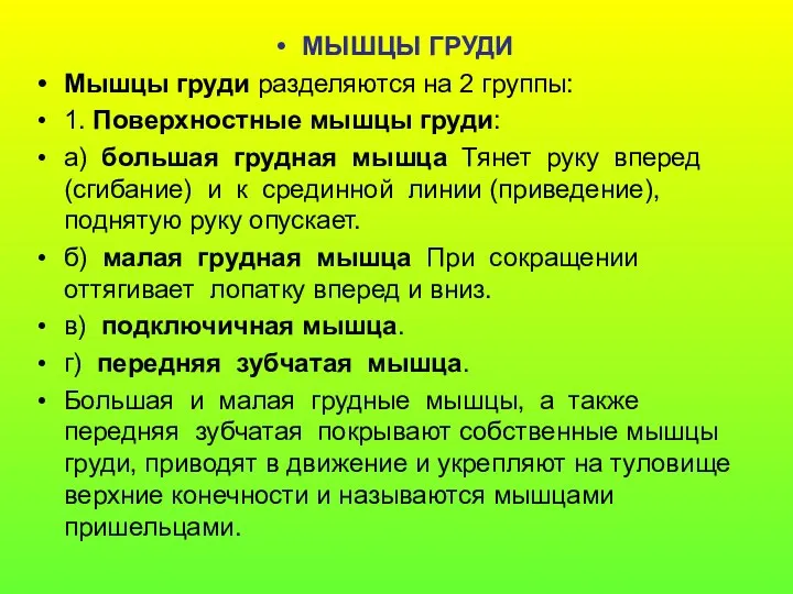 МЫШЦЫ ГРУДИ Мышцы груди разделяются на 2 группы: 1. Поверхностные