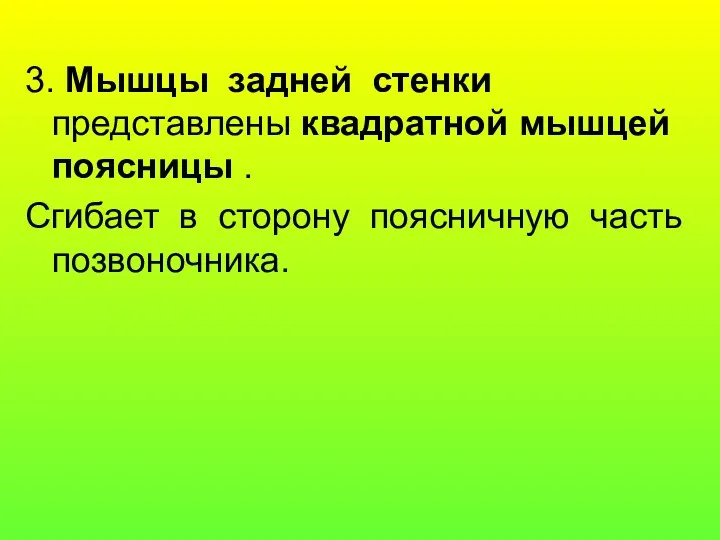 3. Мышцы задней стенки представлены квадратной мышцей поясницы . Сгибает в сторону поясничную часть позвоночника.