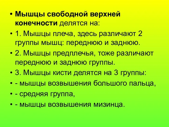 Мышцы свободной верхней конечности делятся на: 1. Мышцы плеча, здесь