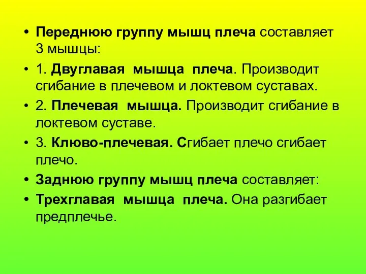 Переднюю группу мышц плеча составляет 3 мышцы: 1. Двуглавая мышца