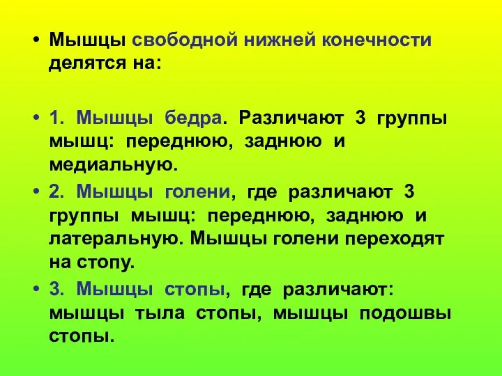 Мышцы свободной нижней конечности делятся на: 1. Мышцы бедра. Различают