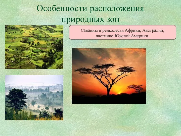 Особенности расположения природных зон Саванны и редколесья Африки, Австралии, частично Южной Америки.