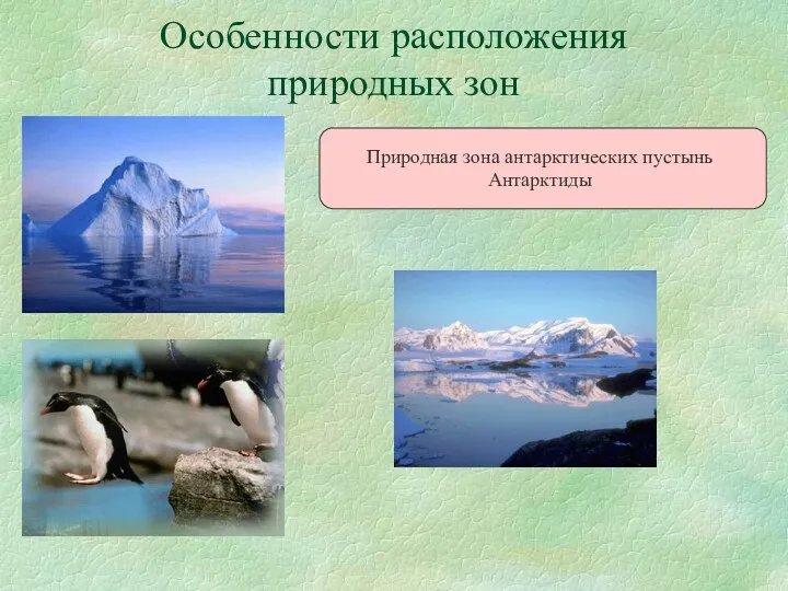 Особенности расположения природных зон Природная зона антарктических пустынь Антарктиды