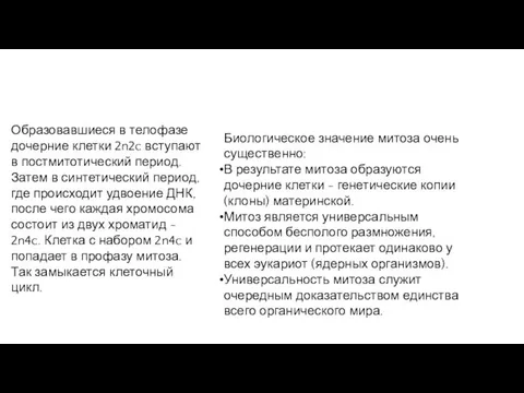 Образовавшиеся в телофазе дочерние клетки 2n2c вступают в постмитотический период.