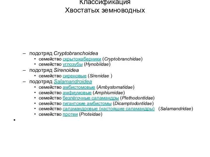 Классификация Хвостатых земноводных подотряд Cryptobranchoidea семейство скрытожаберники (Cryptobranchidae) семейство углозубы