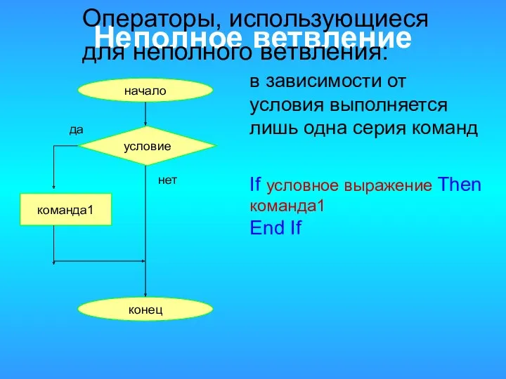 Неполное ветвление в зависимости от условия выполняется лишь одна серия