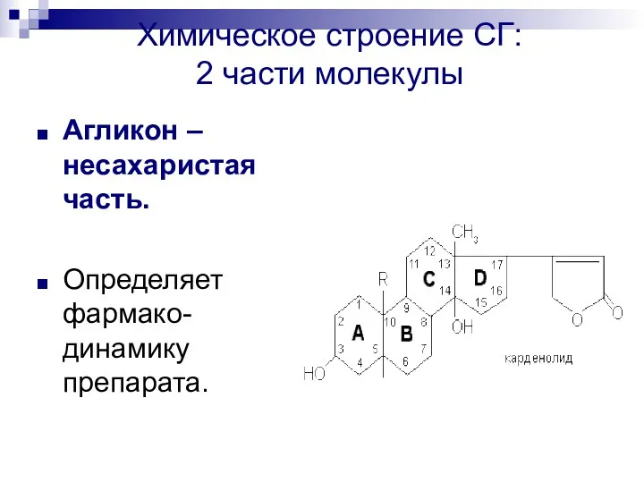 Химическое строение СГ: 2 части молекулы Агликон – несахаристая часть. Определяет фармако-динамику препарата.