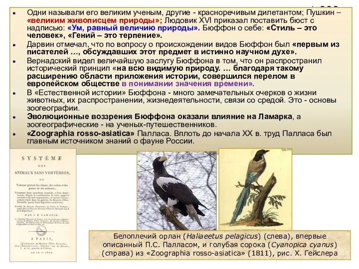 Одни называли его великим ученым, другие - красноречивым дилетантом; Пушкин – «великим живописцем