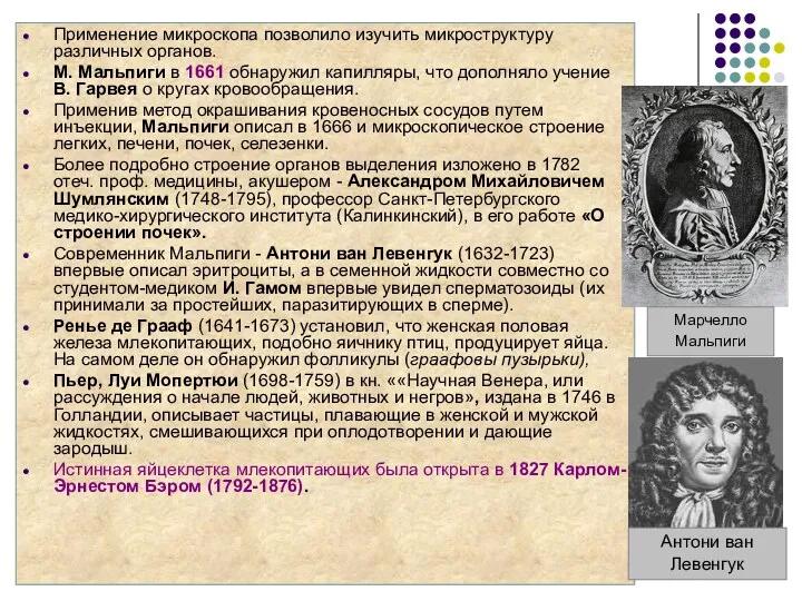 Применение микроскопа позволило изучить микроструктуру различных органов. М. Мальпиги в