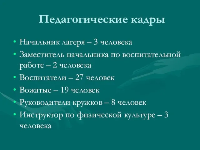 Педагогические кадры Начальник лагеря – 3 человека Заместитель начальника по