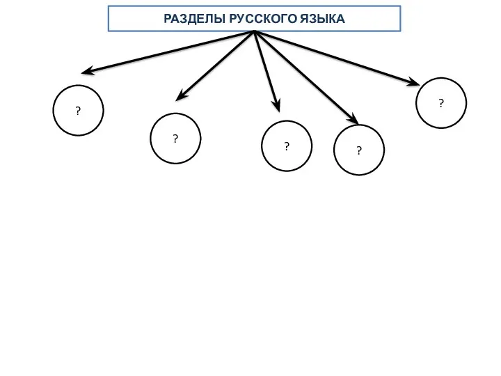 РАЗДЕЛЫ РУССКОГО ЯЗЫКА ? ? ? ? ?