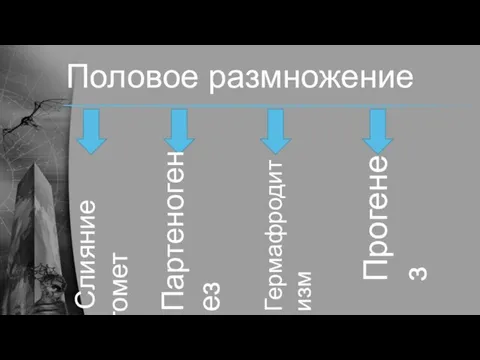 Половое размножение Слияние гомет Партеногенез Прогенез Гермафродитизм