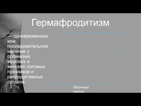 Гермафродитизм — одновременное или последовательное наличие у организма мужских и