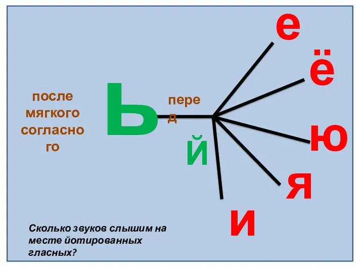 е ё ю я после мягкого согласного перед ь и