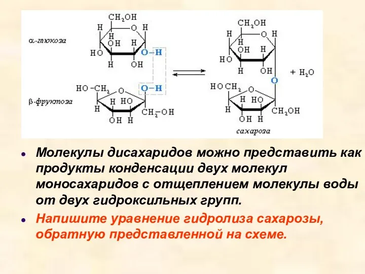 Молекулы дисахаридов можно представить как продукты конденсации двух молекул моносахаридов