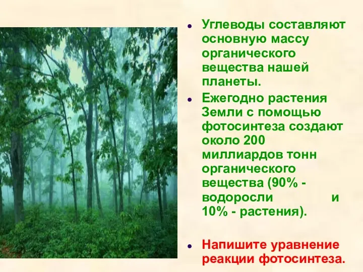 Углеводы составляют основную массу органического вещества нашей планеты. Ежегодно растения