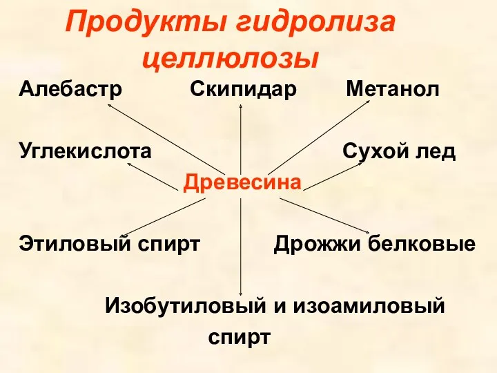 Продукты гидролиза целлюлозы Алебастр Скипидар Метанол Углекислота Сухой лед Древесина