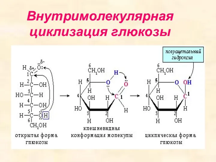 Внутримолекулярная циклизация глюкозы