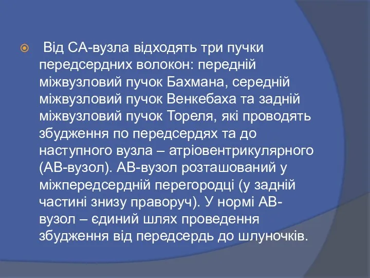 Від CA-вузла відходять три пучки передсердних волокон: передній міжвузловий пучок