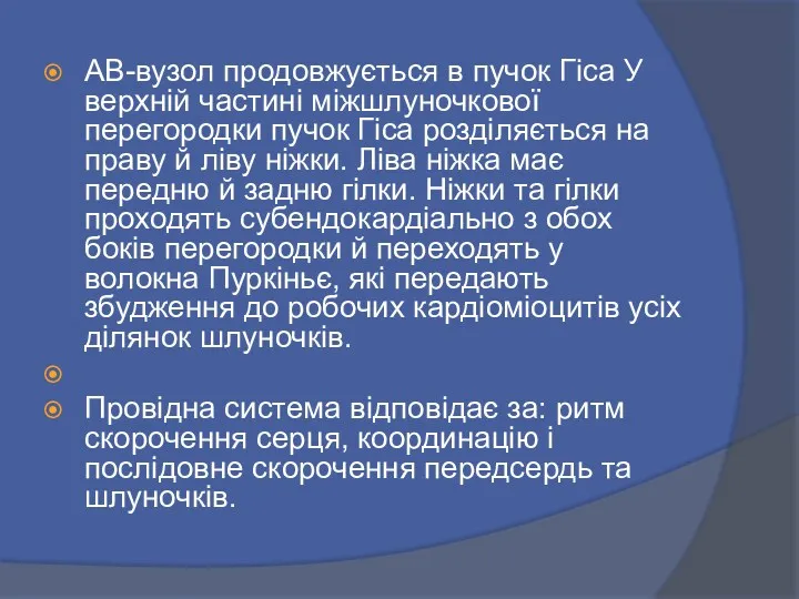 АВ-вузол продовжується в пучок Гіса У верхній частині міжшлуночкової перегородки