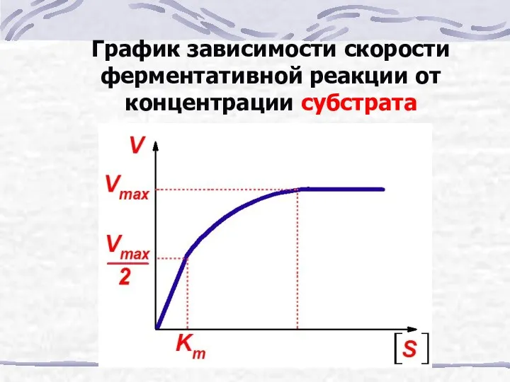 График зависимости скорости ферментативной реакции от концентрации субстрата