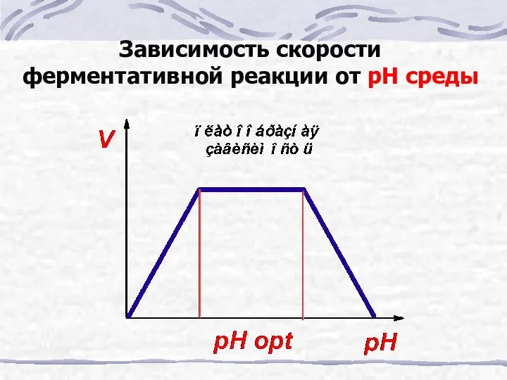 Зависимость скорости ферментативной реакции от рН среды