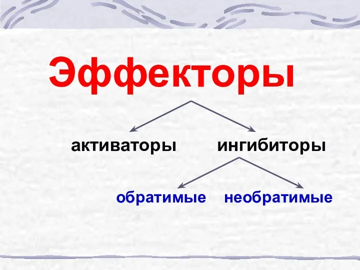 Эффекторы активаторы ингибиторы обратимые необратимые