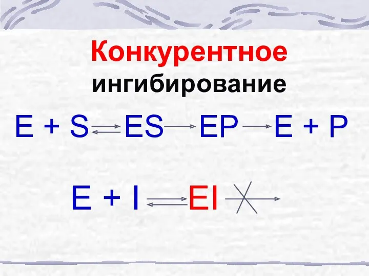 Конкурентное ингибирование E + S ES EP E + P E + I EI