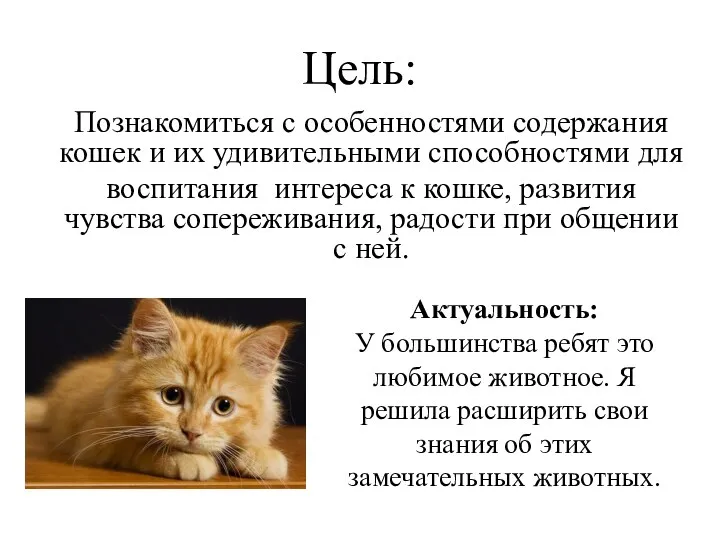 Цель: Познакомиться с особенностями содержания кошек и их удивительными способностями