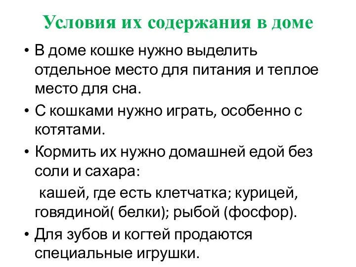 Условия их содержания в доме В доме кошке нужно выделить