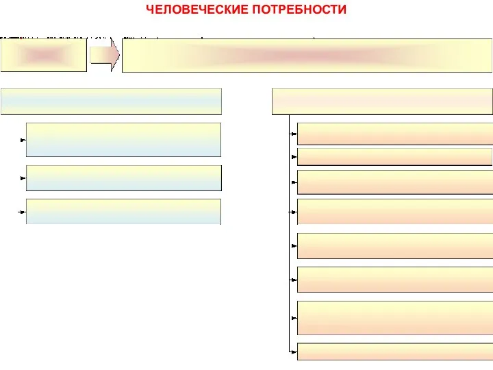 ЧЕЛОВЕЧЕСКИЕ ПОТРЕБНОСТИ