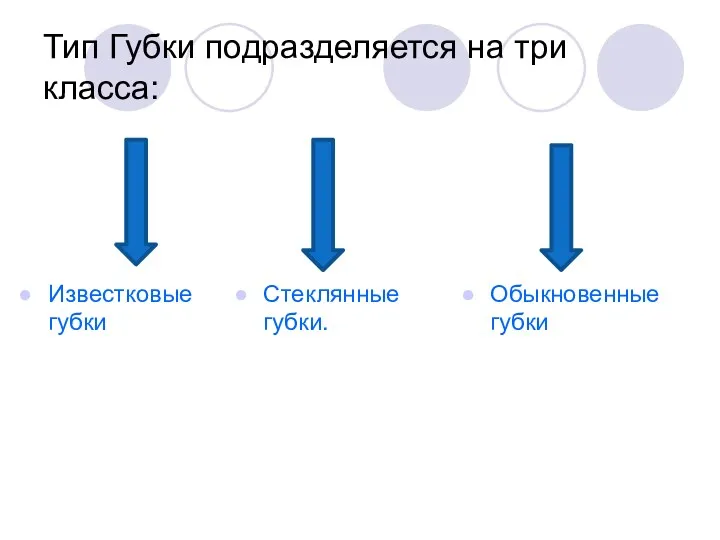 Тип Губки подразделяется на три класса: Известковые губки Обыкновенные губки Стеклянныегубки.