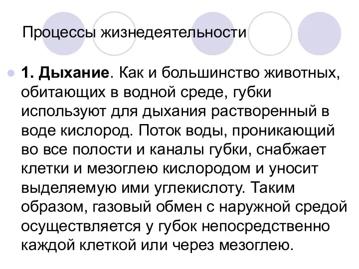 Процессы жизнедеятельности 1. Дыхание. Как и большинство животных, обитающих в