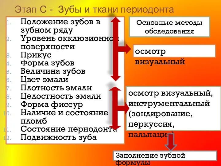 Этап С - Зубы и ткани периодонта Положение зубов в