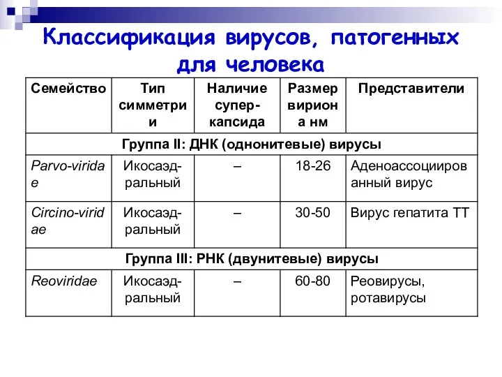 Классификация вирусов, патогенных для человека