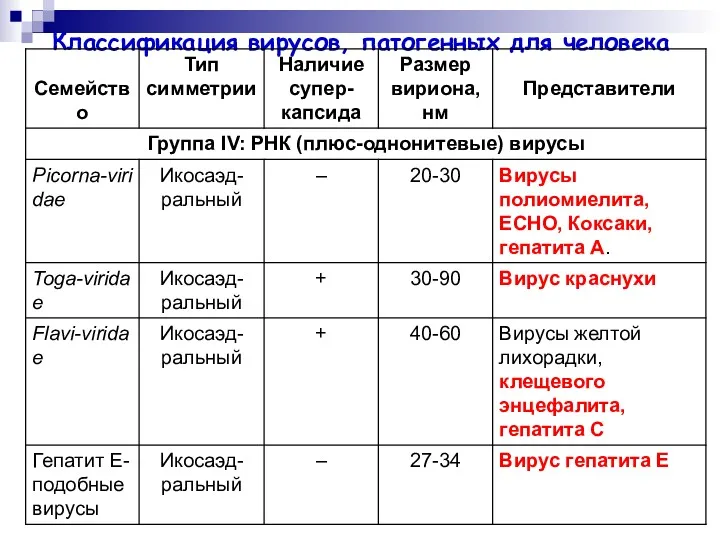 Классификация вирусов, патогенных для человека