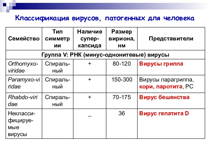 Классификация вирусов, патогенных для человека