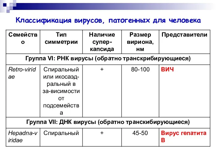 Классификация вирусов, патогенных для человека