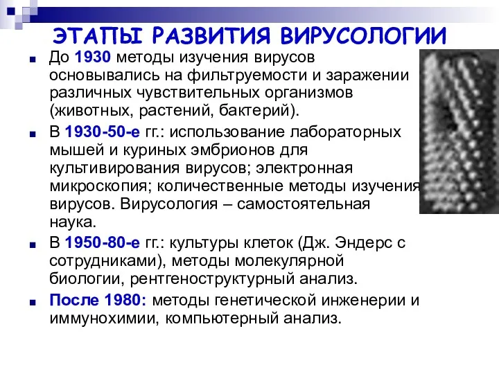 ЭТАПЫ РАЗВИТИЯ ВИРУСОЛОГИИ До 1930 методы изучения вирусов основывались на