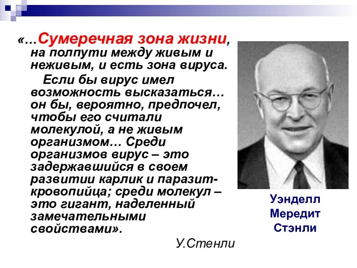 «…Сумеречная зона жизни, на полпути между живым и неживым, и