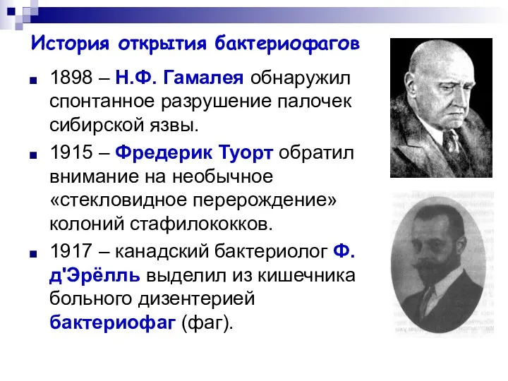 История открытия бактериофагов 1898 – Н.Ф. Гамалея обнаружил спонтанное разрушение