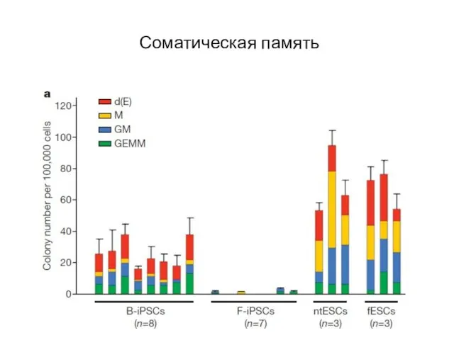 Соматическая память