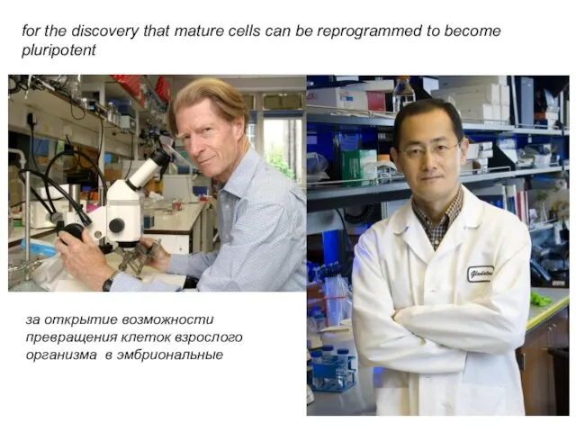 for the discovery that mature cells can be reprogrammed to become pluripotent за