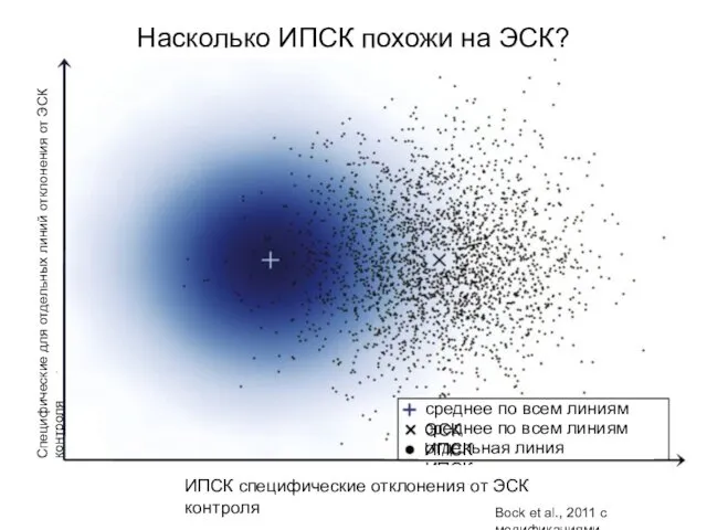 Насколько ИПСК похожи на ЭСК?